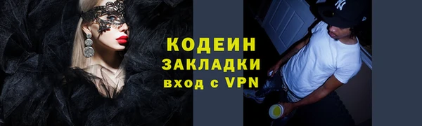 индика Волосово
